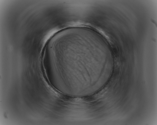 X0000096941463200803070955