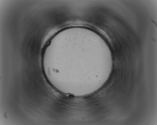 X0000096941464200803070955