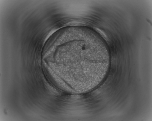 X0000096941465200803070955