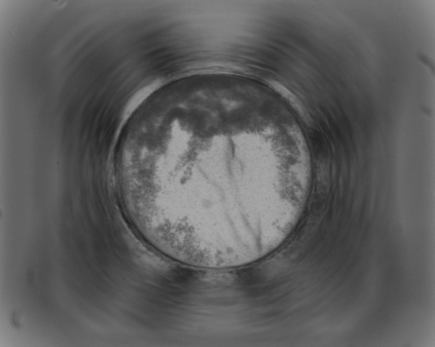 X0000096941466200803070955