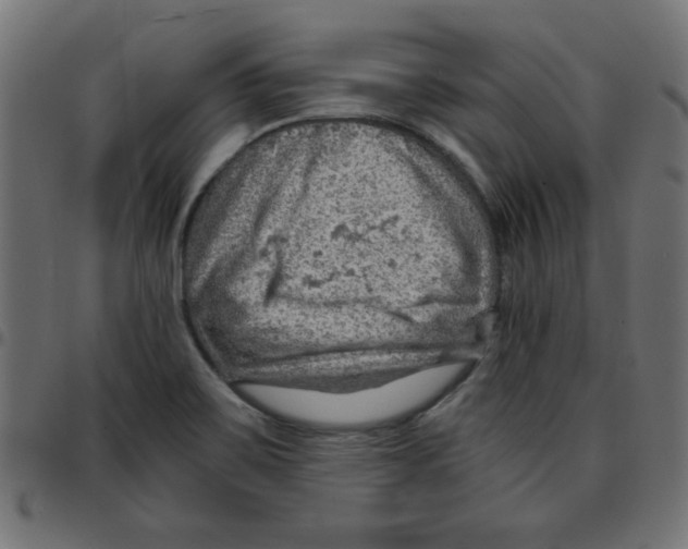 X0000096941467200803070955