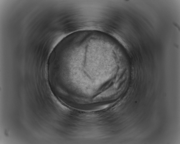 X0000096941468200803070955