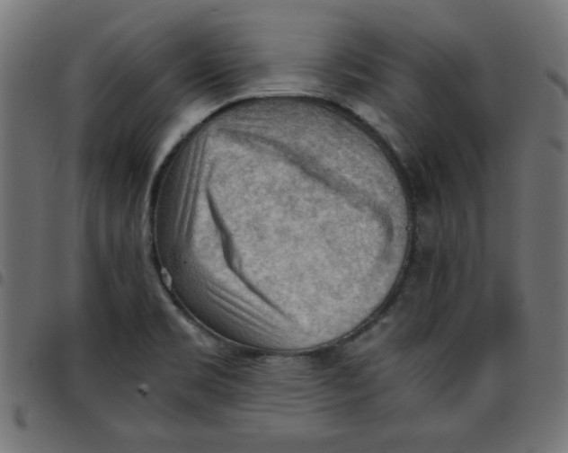 X0000096941469200803070955