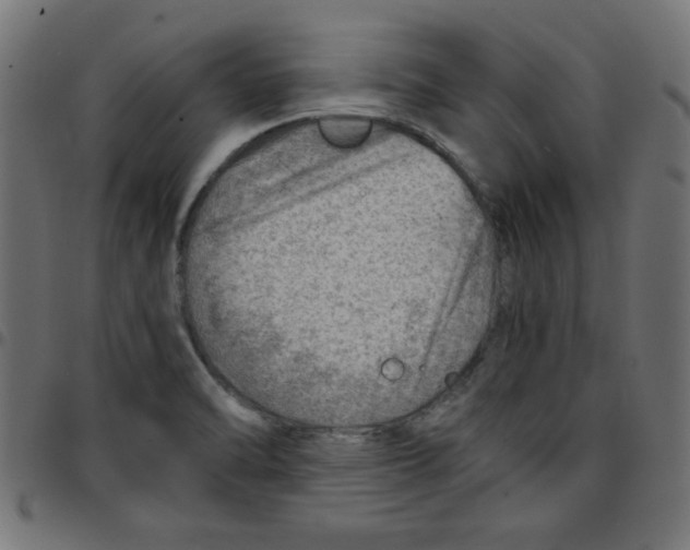 X0000096941470200803070955