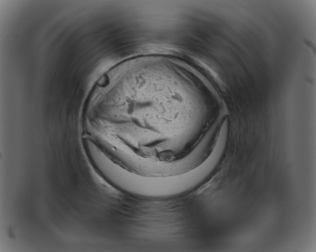 X0000096941471200803070955