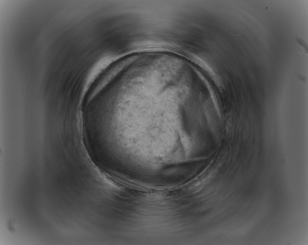 X0000096941472200803070955