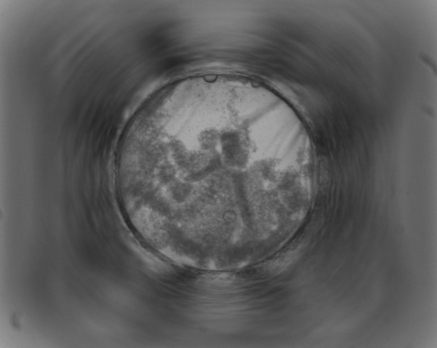 X0000096941474200803070954