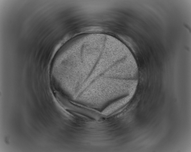 X0000096941475200803070954