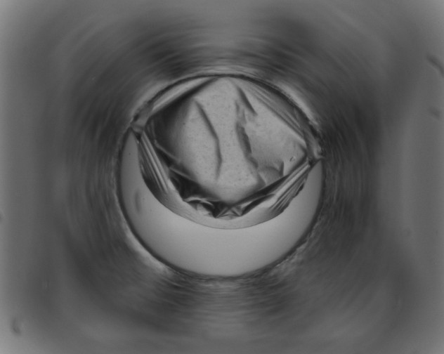 X0000096941476200803070954