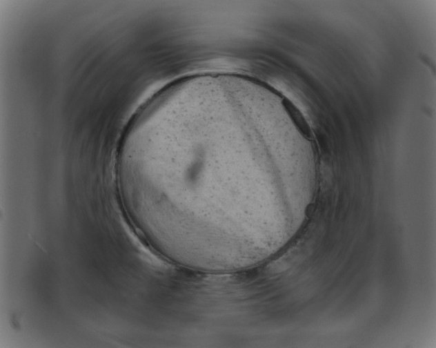 X0000096941477200803070954