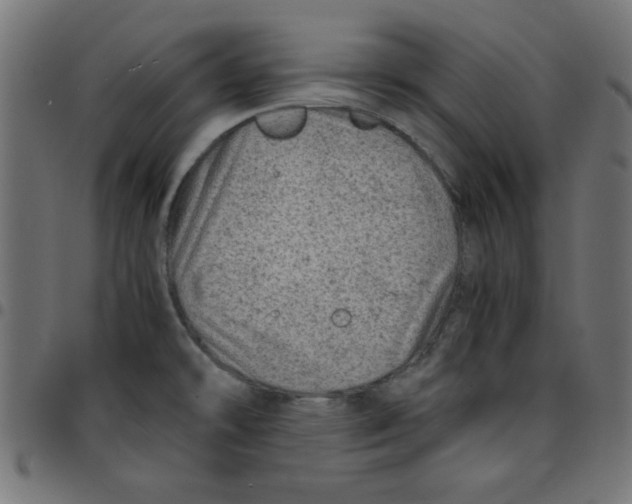 X0000096941478200803070954