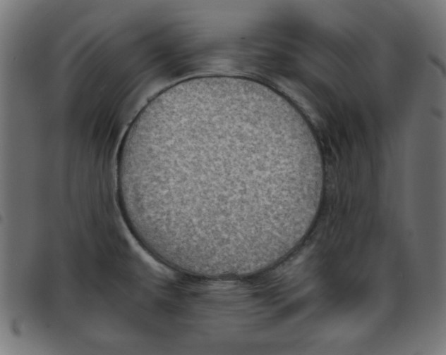 X0000096941479200803070954