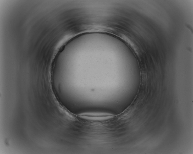 X0000096941480200803070954