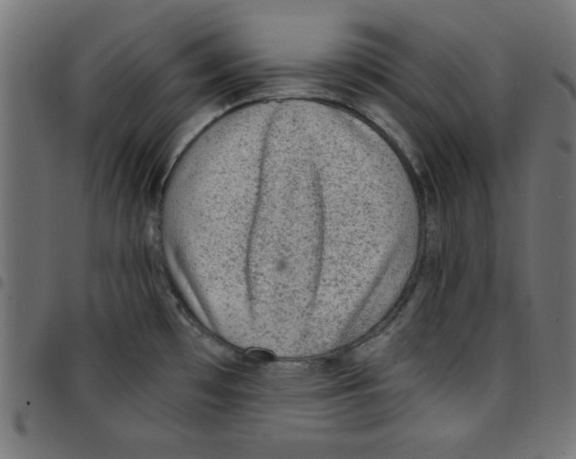 X0000096941481200803070954