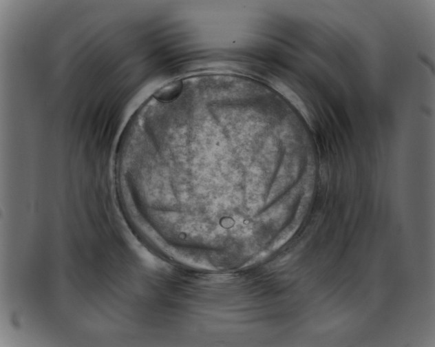 X0000096941482200803070954