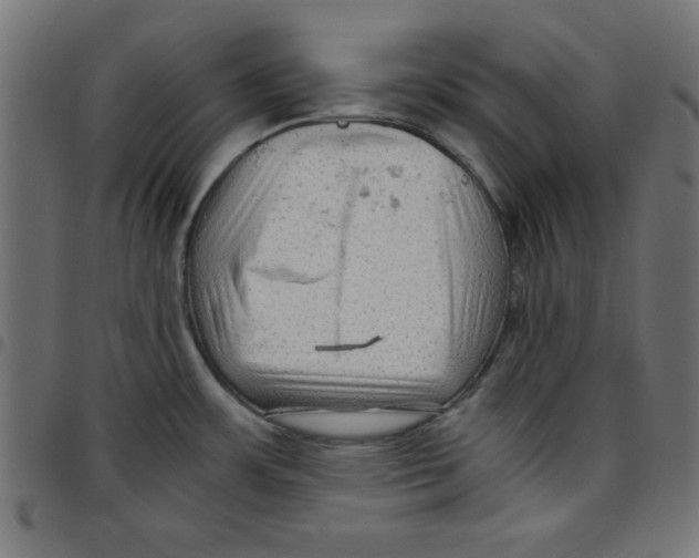 X0000096941483200803070954