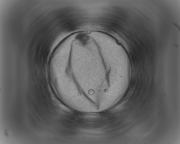 X0000096941486200803070954