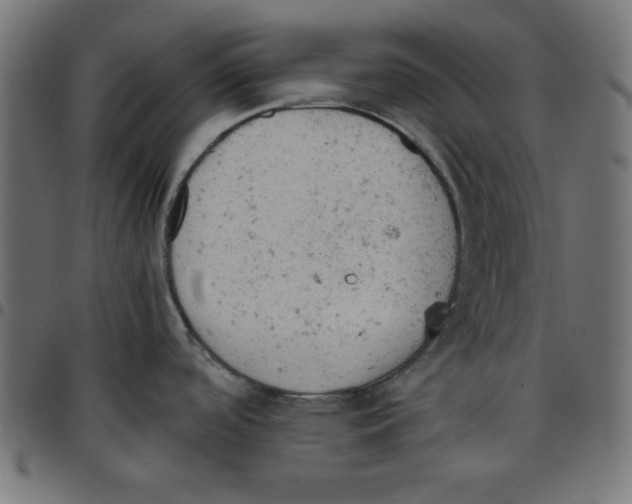 X0000096941488200803070954