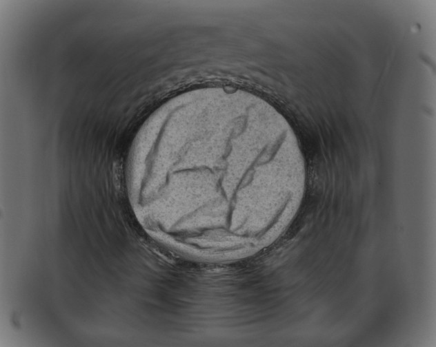 X0000096941490200803070953