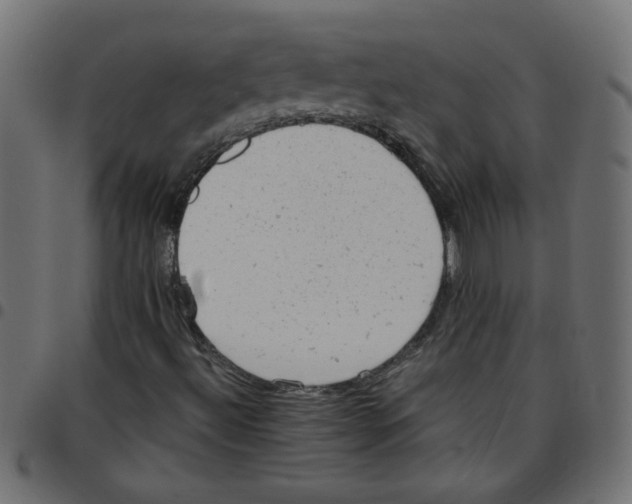 X0000096941492200803070954