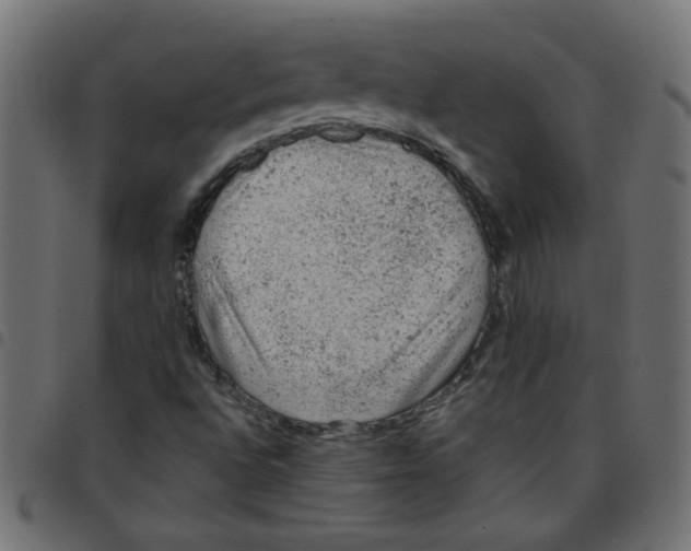 X0000096941496200803070954