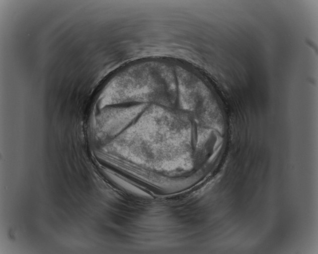 X0000096941497200803070954