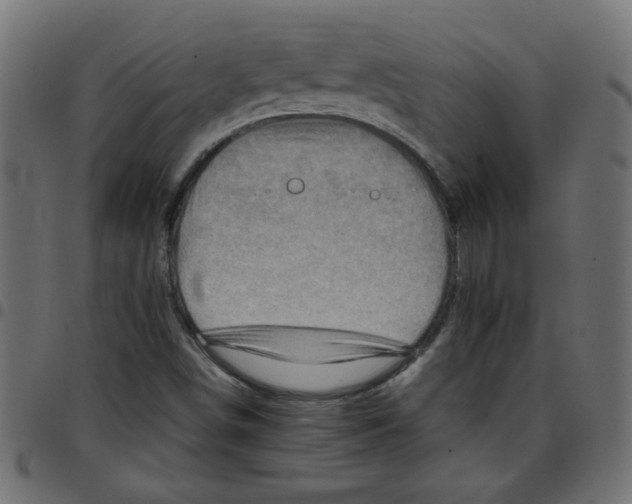 X0000096941498200803070954