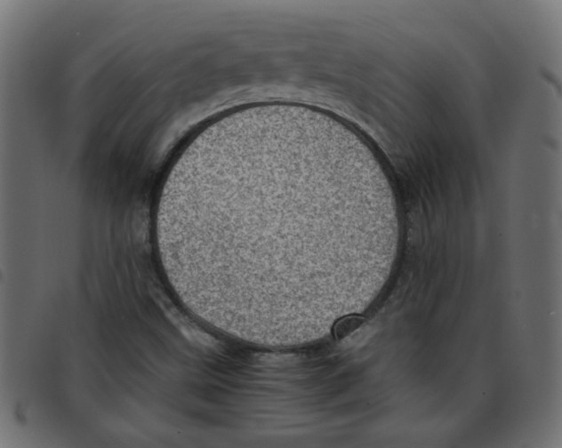 X0000096941499200803070954