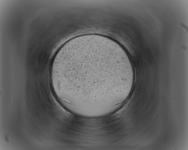 X0000096941500200803070954