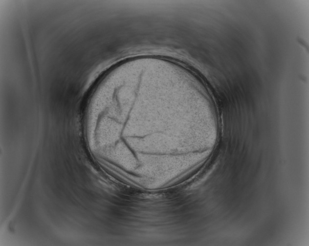 X0000096941501200803070954