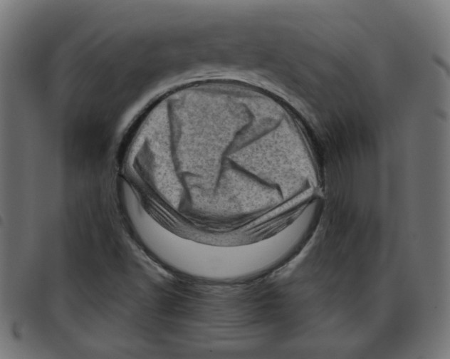 X0000096941502200803070954