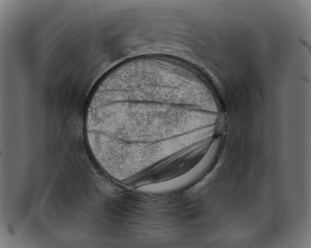 X0000096941505200803070954