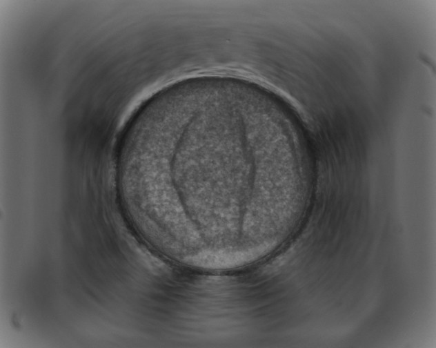 X0000096941506200803070954