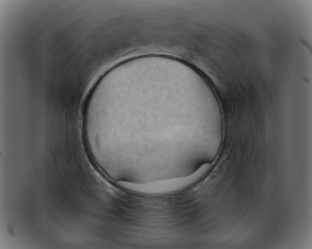 X0000096941508200803070954