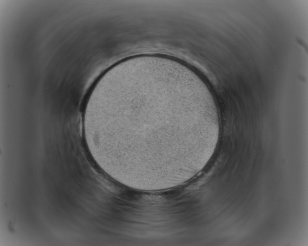 X0000096941509200803070954