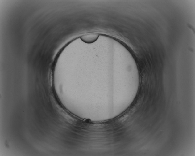 X0000096941510200803070954