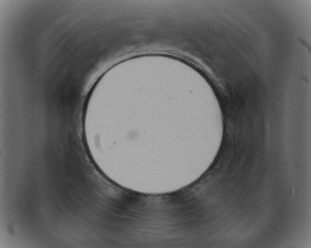 X0000096941512200803070954