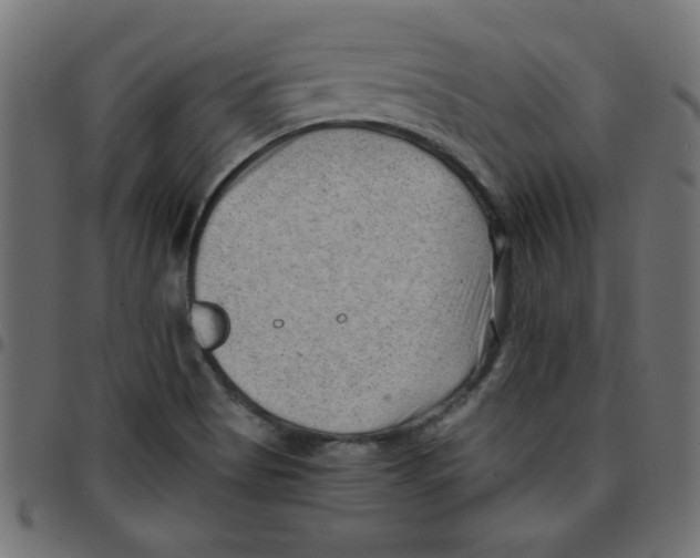 X0000096941513200803070954