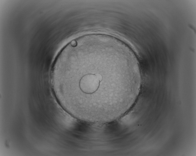 X0000096941514200803070954