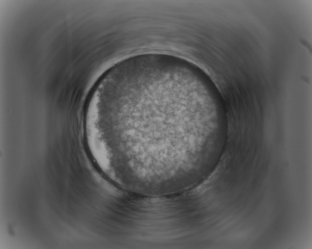 X0000096941515200803070954