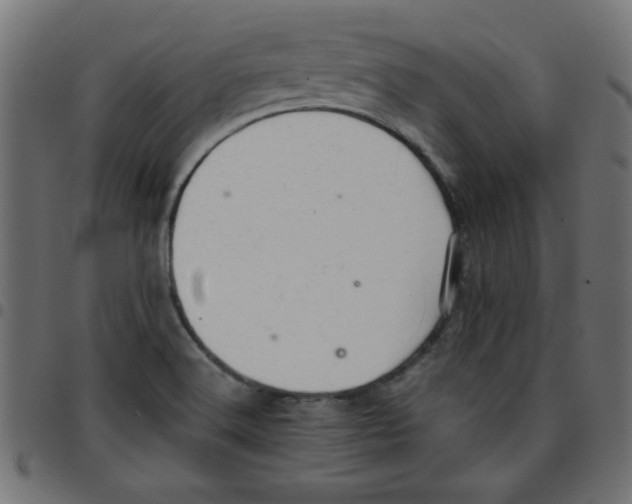 X0000096941516200803070954