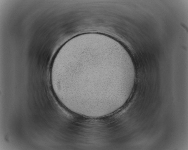 X0000096941517200803070954