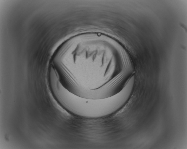 X0000096941518200803070954