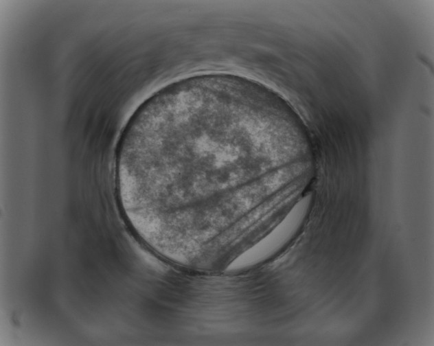 X0000096941519200803070954