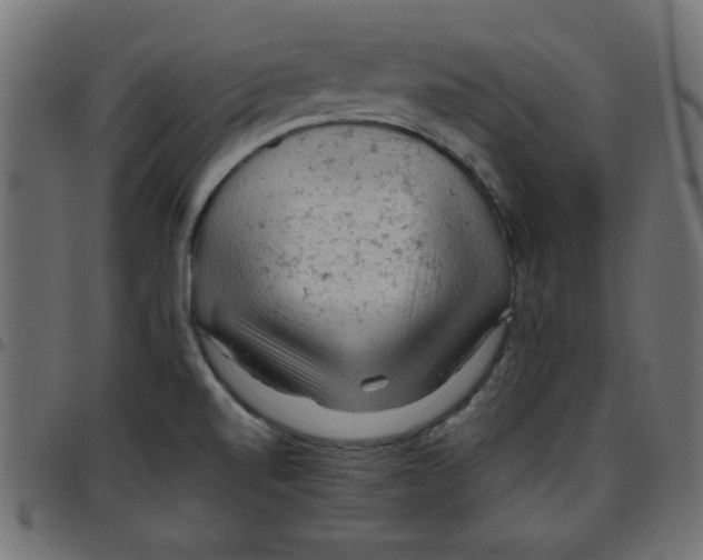 X0000096941520200803070954