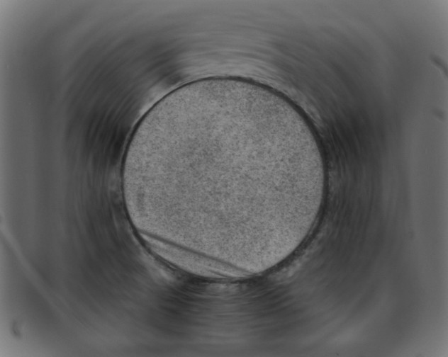 X0000096941521200803070954