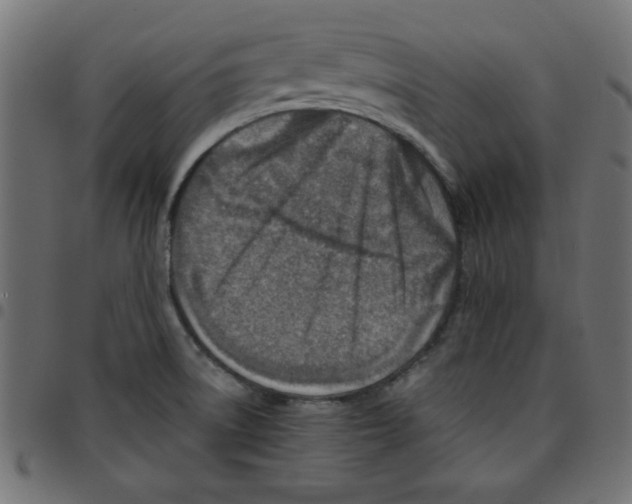 X0000096941522200803070954