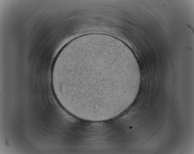 X0000096941523200803070954