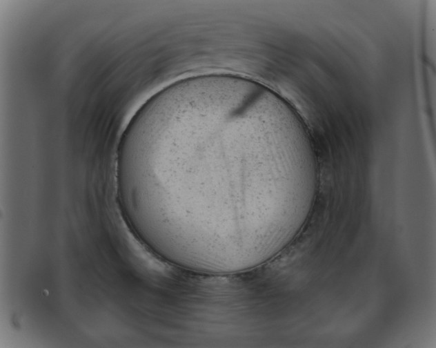 X0000096941524200803070954