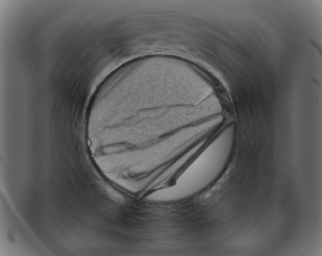 X0000096941525200803070954